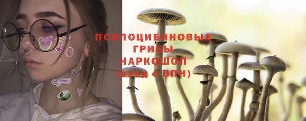 спиды Алексин