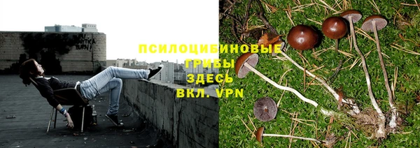 мет Абинск