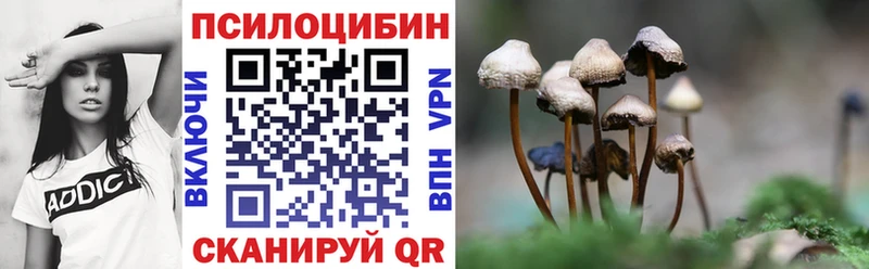 купить  сайты  ОМГ ОМГ зеркало  Галлюциногенные грибы Magic Shrooms  Черногорск 