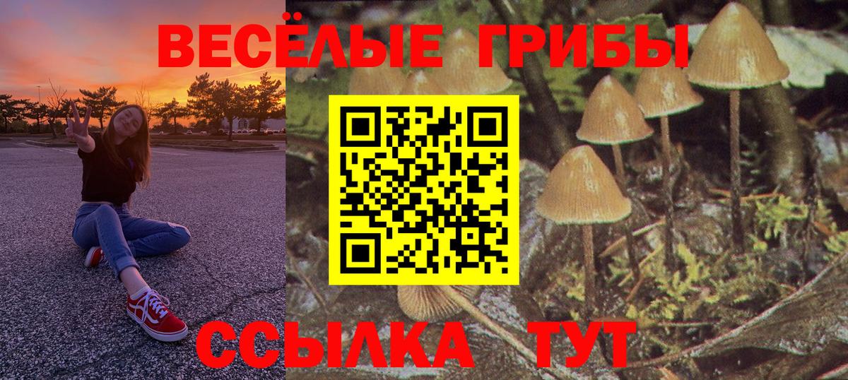 Черногорск  Псилоцибиновые грибы мухоморы  Вход с VPN 