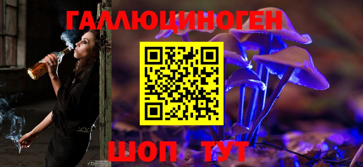 Псилоцибиновые грибы прущие грибы Черногорск